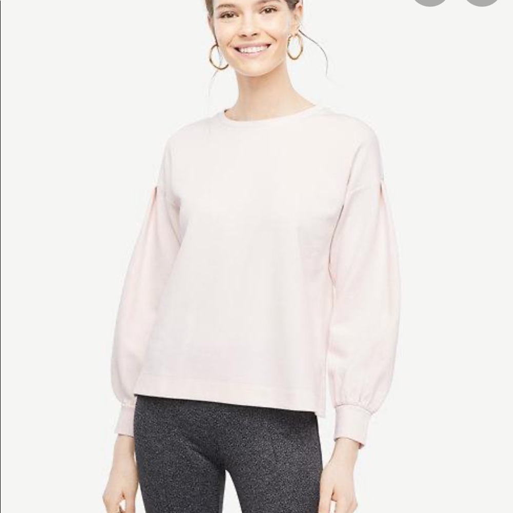 ✨ NWOT Ann Taylor Sweater ✨